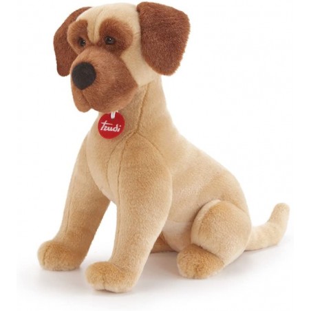 TRUDI ALANO ADALBERTO 