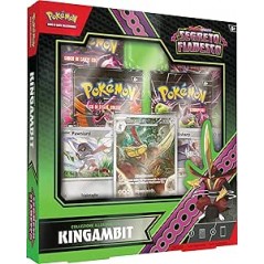 POKEMON SEGRETO FIABESCO KINGAMBIT GAME VISION